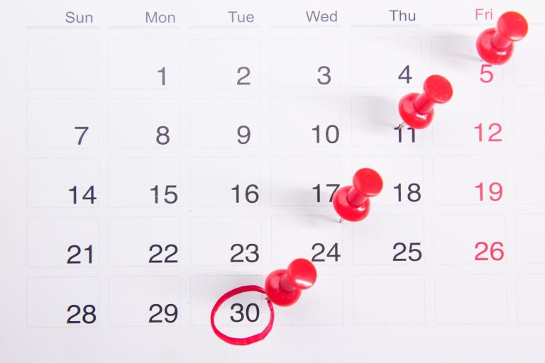 Calendar with red push pins marking important visa renewal dates